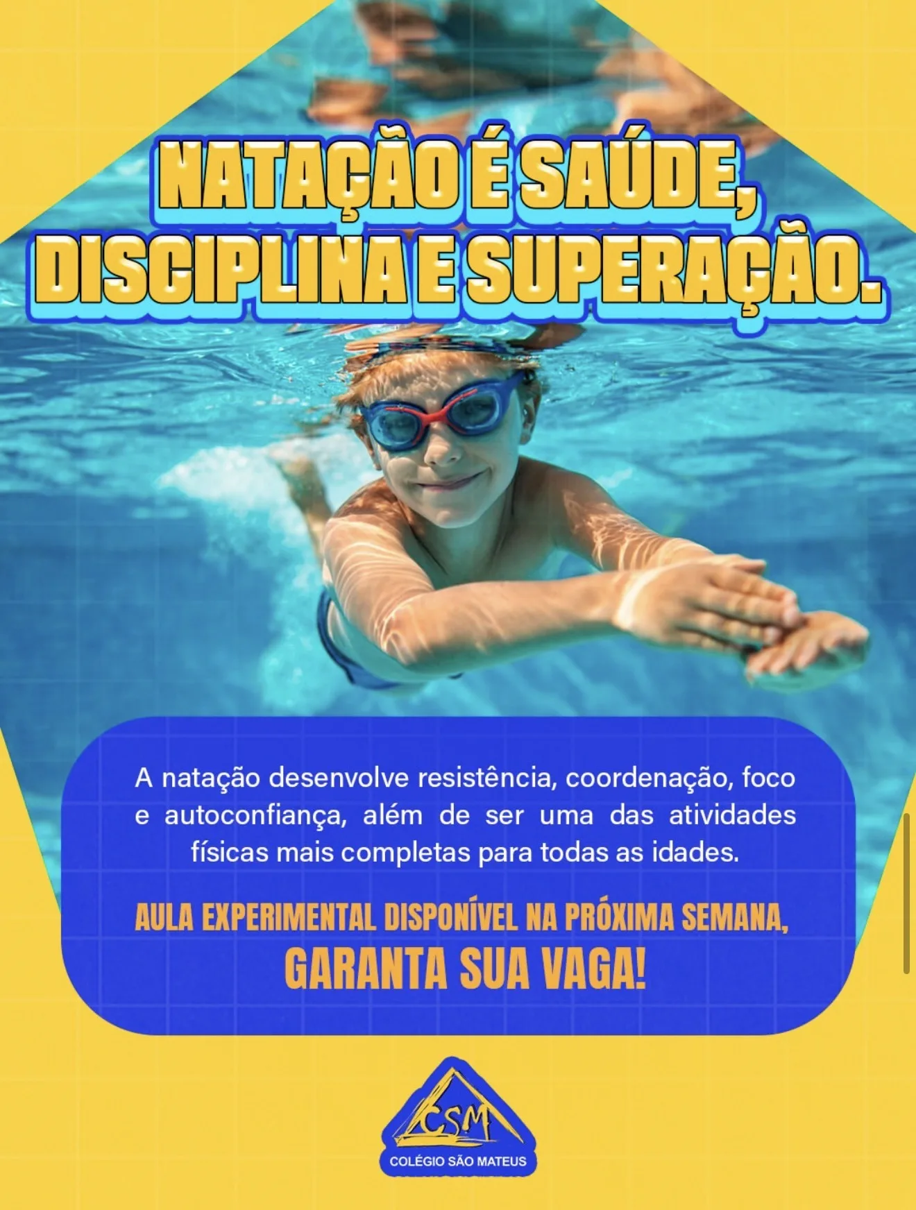 Estrutura CSM